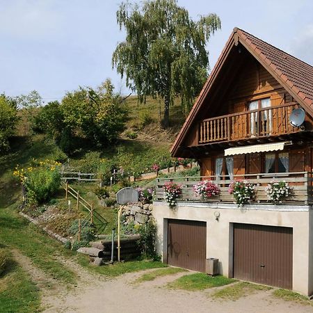 Chalet-Gite Berbuche Sainte-Croix-aux-Mines Exteriér fotografie