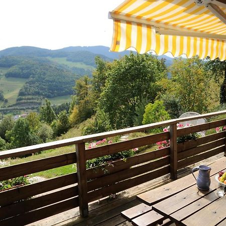 Chalet-Gite Berbuche Sainte-Croix-aux-Mines Exteriér fotografie