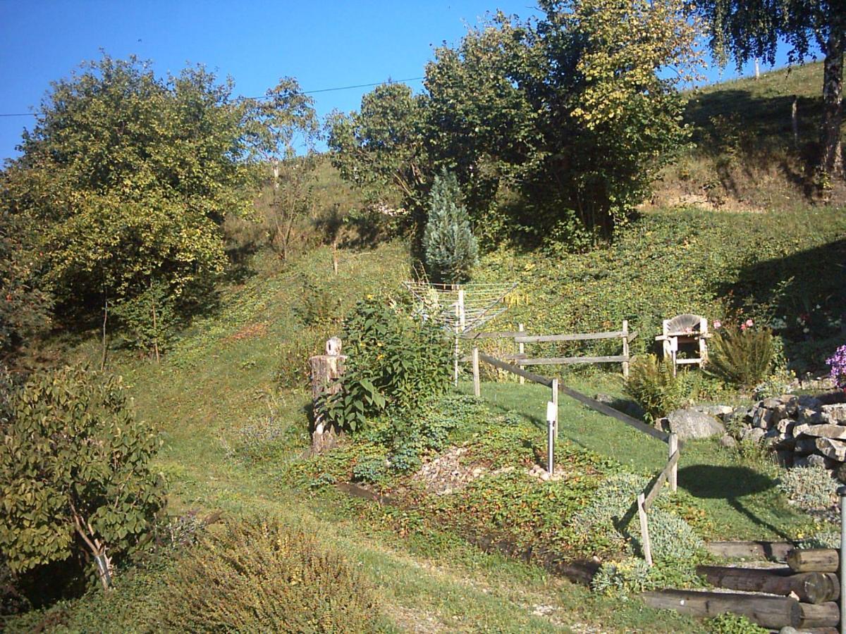 Chalet-Gite Berbuche Sainte-Croix-aux-Mines Exteriér fotografie